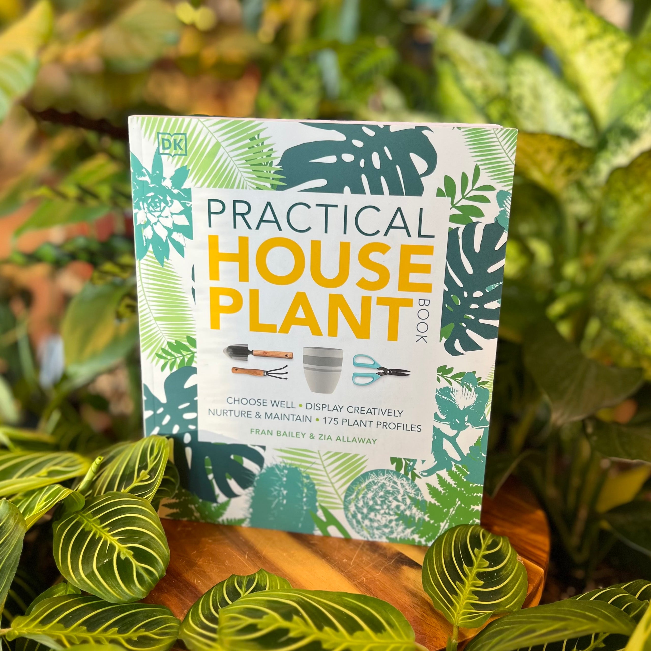 Practical Houseplant Practical Houseplant